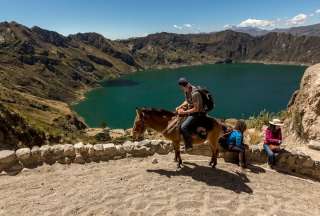 Activistas solicitan que burros y caballos no sean animales de carga en el Quilotoa