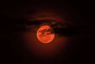 Brillo m&aacute;ximo: as&iacute; se ver&aacute; la &ldquo;Luna de Cosecha&rdquo; en el pa&iacute;s este 7 de septiembre