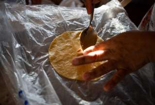 Ellas son quienes dirigen el negocio agroecol&oacute;gico en Manab&iacute;
