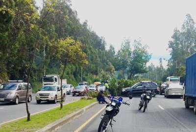 En la Sim&oacute;n Bol&iacute;var se registr&oacute; el choque de un veh&iacute;culo contra un &aacute;rbol. 