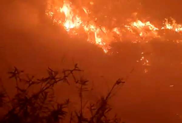 Bomberos Quito atendi&oacute; un voraz flagelo en Guambi. Las autoridades rechazan estos hechos provocados por el ser humano.