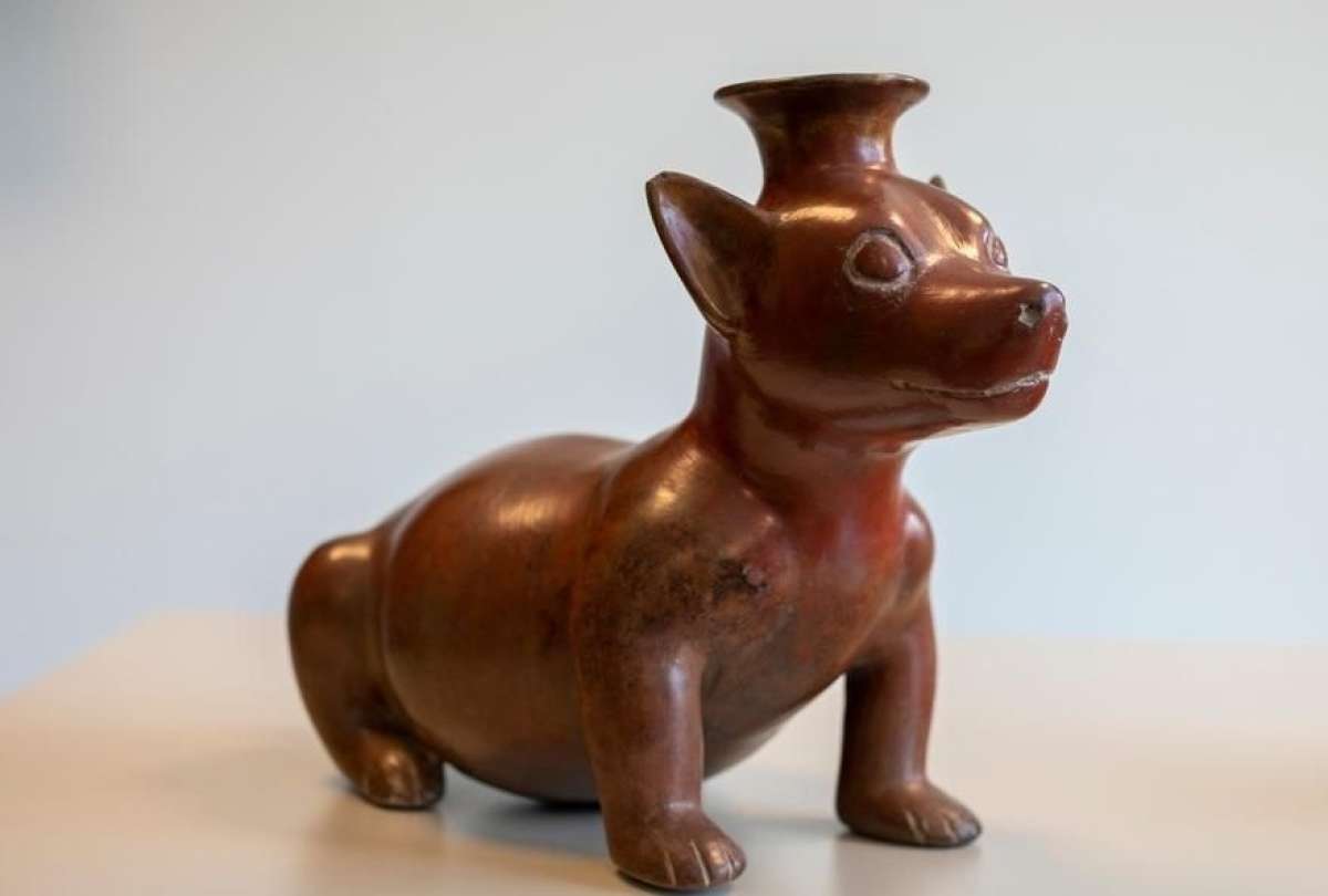 Piezas arqueol&oacute;gicas iban a subastarse en B&eacute;lgica