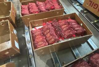 &iexcl;Ins&oacute;lito! Pretend&iacute;an enviar 2.460 cangrejos vivos a Nueva York