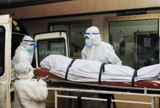 En Ecuador no se reportan casos de virus Nipah