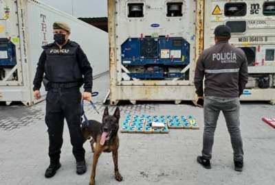 Polic&iacute;a intercepta m&aacute;s de 36 kilos de coca&iacute;na que pretend&iacute;an llegar a B&eacute;lgica