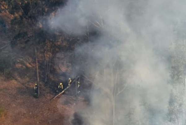 Estos son los pa&iacute;ses afectados por la sequ&iacute;a y los incendios forestales.