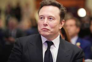 Elon Musk es acusado de difundir "mentiras" a trav&eacute;s de la red social X.