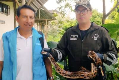 Los animales rescatados ser&aacute;n reinsertados en su h&aacute;bitat natural