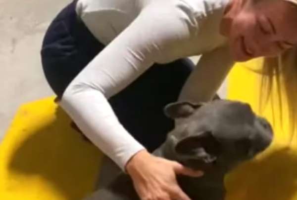 Mujer se reencuentra con su mascota luego de ocho meses de separaci&oacute;n