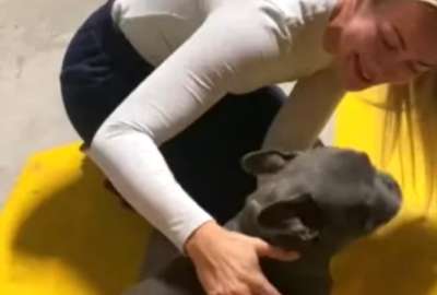 Mujer se reencuentra con su mascota luego de ocho meses de separaci&oacute;n