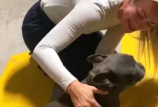Mujer se reencuentra con su mascota luego de ocho meses de separaci&oacute;n