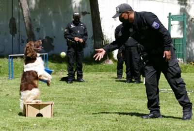 La Polic&iacute;a organiza un curso de adiestramiento canino en Quito