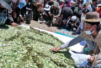 El presidente de Bolivia, Luis Arce, y el vicepresidente David Choquehuanca trabajan en la desclasificaci&oacute;n de la hoja de coca del listado de estupefacientes. 