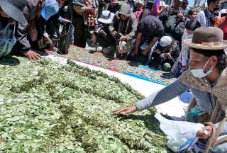 Bolivia buscar&aacute; desclasificar la hoja de coca como estupefaciente&nbsp;