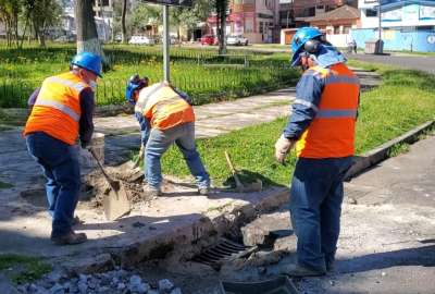 El n&uacute;mero de rejillas robadas ha subido en este 2023. Conozca m&aacute;s detalles y cu&aacute;nto le cuesta al Municipio reponerlas.