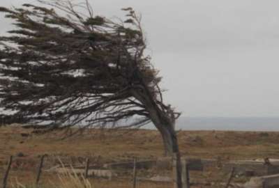 Inamhi advierte sobre fuertes r&aacute;fagas de viento en la Sierra