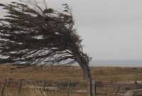 Inamhi advierte sobre fuertes r&aacute;fagas de viento en la Sierra