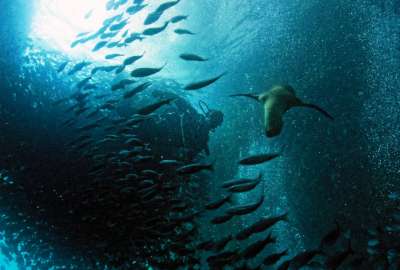 Ministros del Ambiente apoyan la Declaratoria de Paz para el Oc&eacute;ano en Costa Rica.