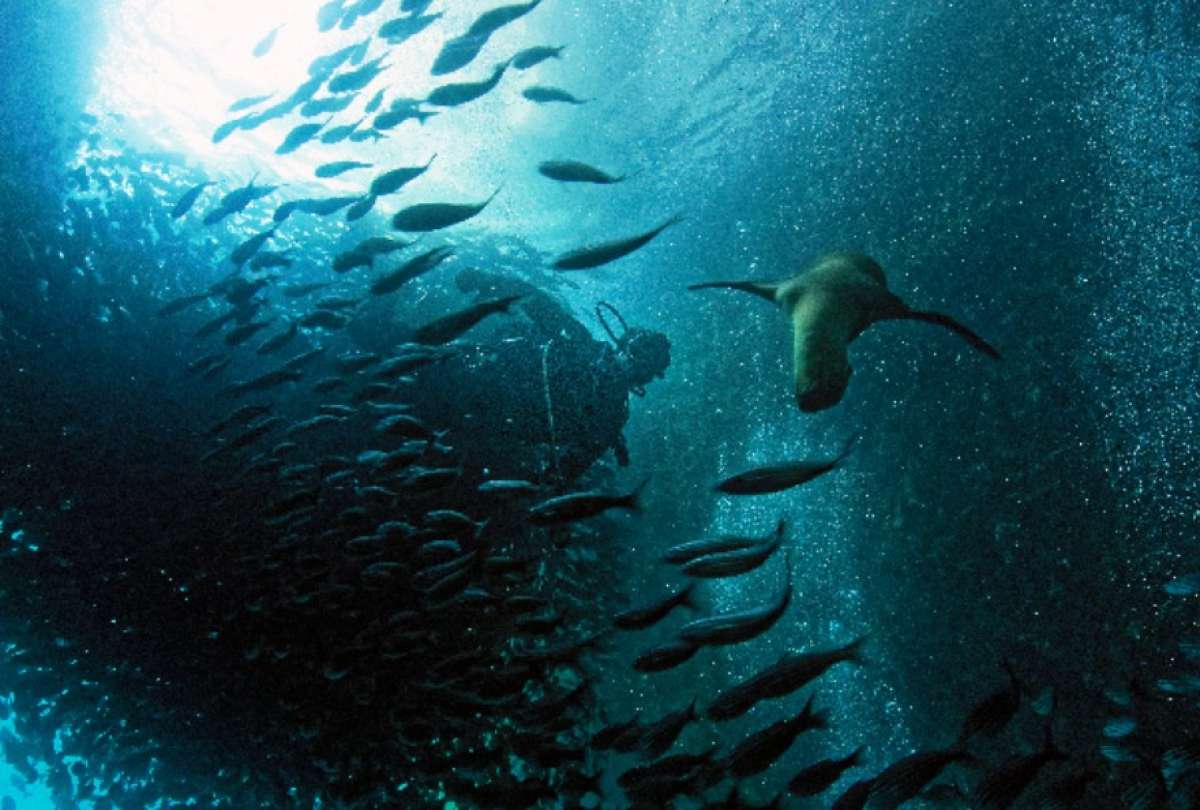 Ministros del Ambiente apoyan la Declaratoria de Paz para el Océano en Costa Rica.