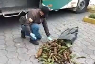 La Polic&iacute;a logr&oacute; retirar del mercado 14.800 dosis de estupefacientes.