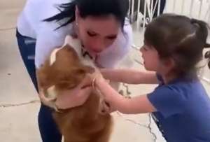 Un video grabado la familia al momento de recuperar al can muestra como la m&aacute;s peque&ntilde;a se emociona hasta las l&aacute;grimas al verlo. 