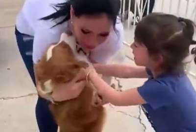 Un video grabado la familia al momento de recuperar al can muestra como la más pequeña se emociona hasta las lágrimas al verlo.