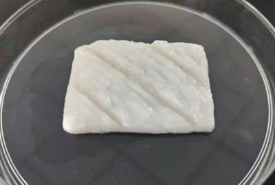 Cient&iacute;ficos chinos imprimen en 3D filetes de pescado comsetibles