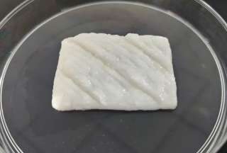 Cient&iacute;ficos chinos imprimen en 3D filetes de pescado comestibles