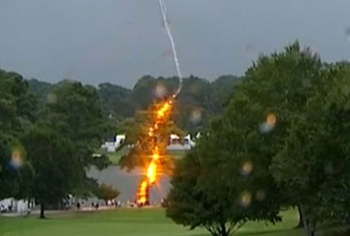 &iquest;C&oacute;mo evitar o sobrevivir al impacto de un rayo?