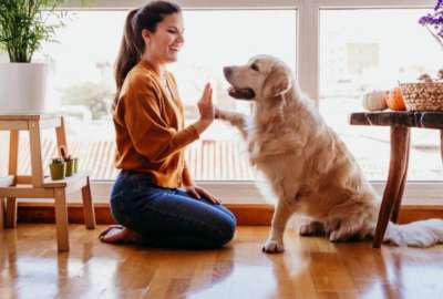 Expertos revelan &lsquo;tips&rsquo; para disfrutar de la compa&ntilde;&iacute;a de perros y gatos, a&uacute;n si eres al&eacute;rgico