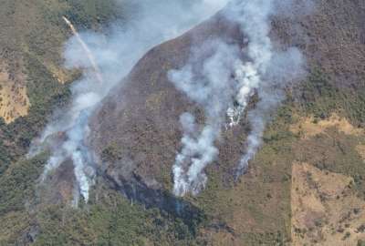 La ministra In&eacute;s Manzano detall&oacute; que los autores de los incendios forestales ser&aacute;n investigados por cuatro cargos.