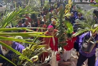 Domingo de Ramos en Ecuador, as&iacute; se vivi&oacute; esta celebraci&oacute;n religiosa