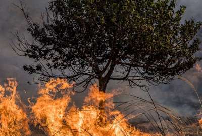 Sudamérica en llamas debido a los incendios forestales