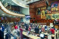 Asamblea Nacional no vot&oacute; por el proyecto de interrupci&oacute;n voluntaria del embarazo por violaci&oacute;n