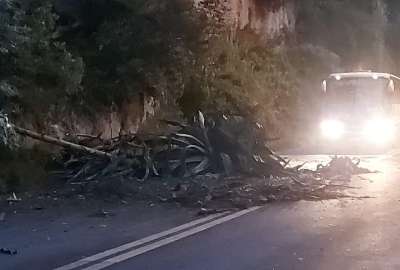 Un deslizamiento de tierra y desprendimiento de material vegetal se reportaron sobre la avenida Oswaldo Guayasam&iacute;n.