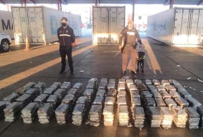 La droga estaba oculta en un contenedor con banano de exportaci&oacute;n.