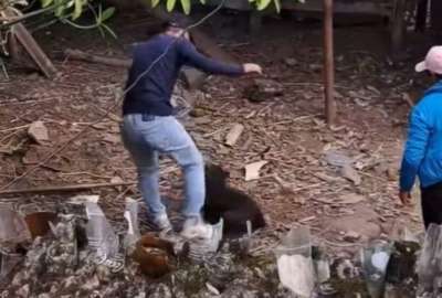 El hecho qued&oacute; registrado en un video grabado por moradores del sector.