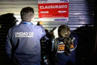 Hasta  USD 4.500 es la multa a organizadores de peleas de gallos y otros animales
