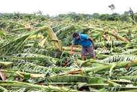  El tif&oacute;n Yagi ha dejado fuertes inundaciones y deslizamientos de tierra. Este es el balance. 
