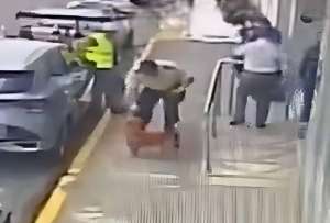 Polic&iacute;a se pronunci&oacute; ante presunta agresi&oacute;n de un perro. 