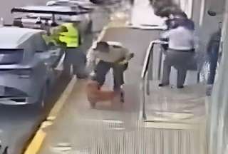 Polic&iacute;a investigar&aacute; presunta agresi&oacute;n a perro en Los R&iacute;os