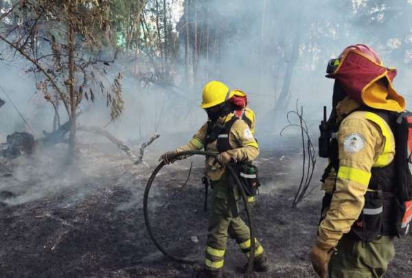 Tras la audiencia, una jueza dict&oacute; prisi&oacute;n para el autor de un incendio registrado al noreste de Quito.&nbsp;