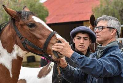 En Ecuador se detect&oacute; un caso de encefalomielitis equina del Este, en Guayas.