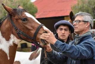 &iquest;Qu&eacute; es la encefalomielitis equina del Este, enfermedad detectada en Ecuador?