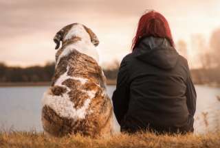D&iacute;a Mundial del Perro: &iquest;por qu&eacute; se lo festeja el 21 de julio?  &nbsp;