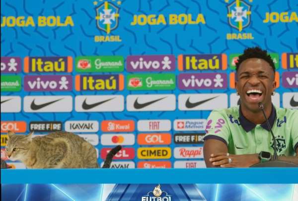 Un gato se col&oacute; en la charla con la prensa del delantero Vinicius Jr. 