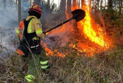 El alcalde de Quito, Pabel Mu&ntilde;oz, se&ntilde;al&oacute; que quienes provoquen incendios forestales pagar&aacute;n una multa de hasta USD 34.500.