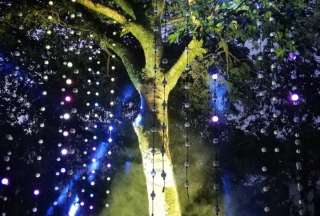 Quito: vuelve el Bosque de Luz del Jard&iacute;n Bot&aacute;nico