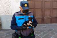 Rescatan a cachorrita abandonado en el Centro Hist&oacute;rico de Quito