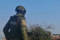 Según la Policía, la colaboración ciudadana a través de la línea 131 permitió la captura de importantes líderes criminales.